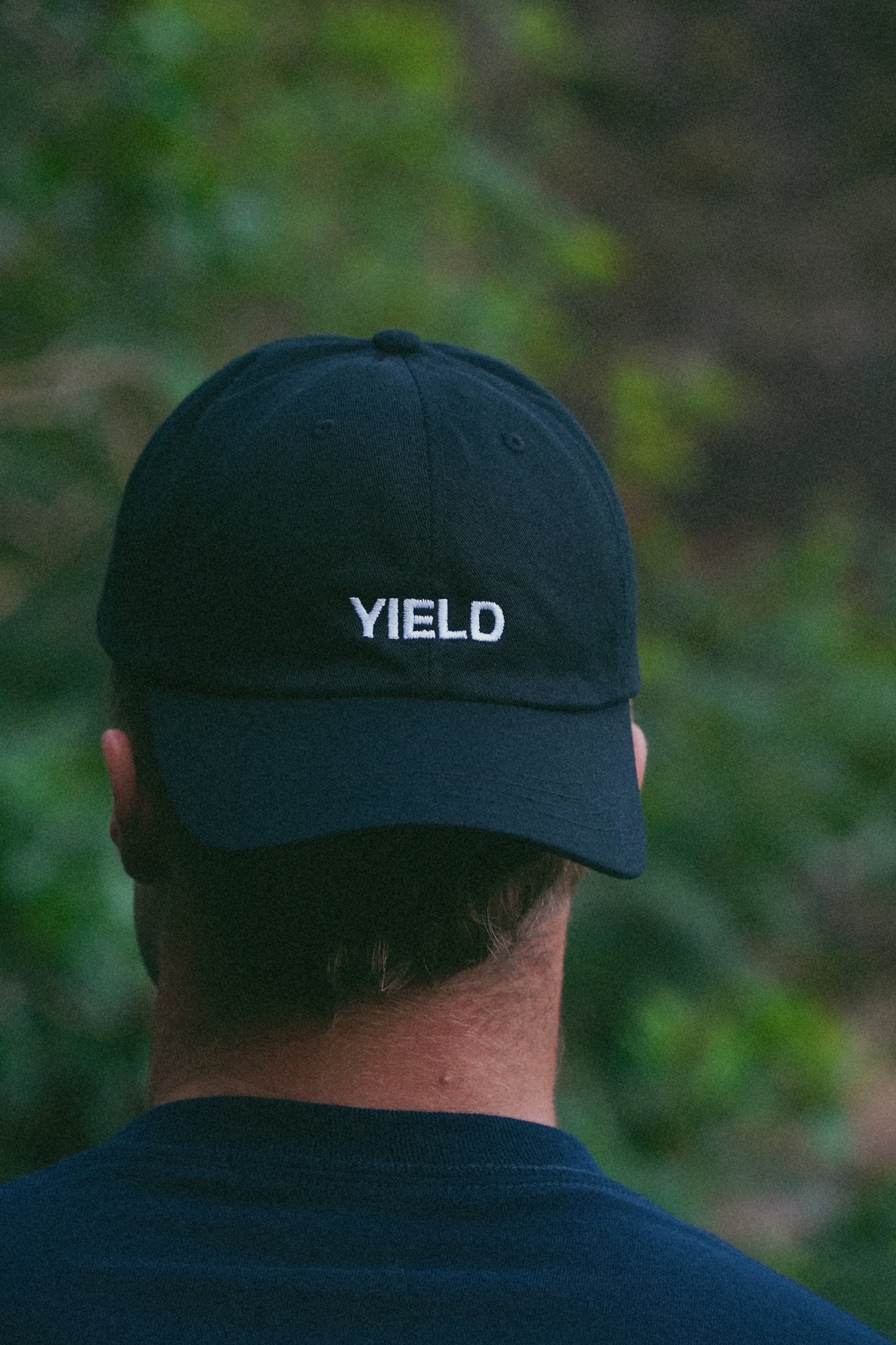 Yield Dad Hat